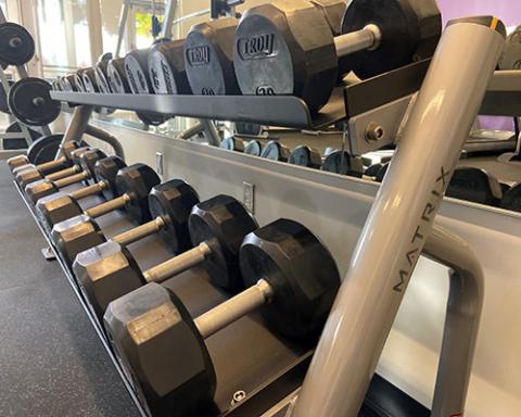 free weights, dumbells